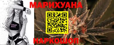 прущие грибы Комсомольск-на-Амуре