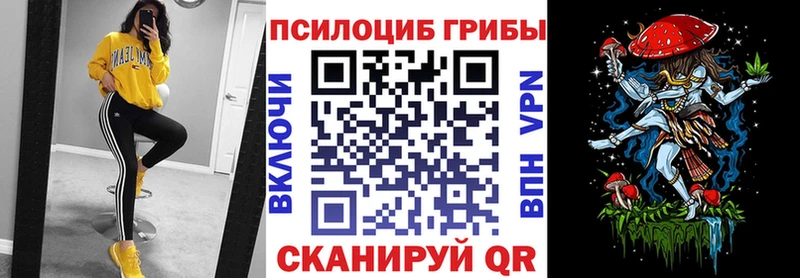 Псилоцибиновые грибы прущие грибы  Малоярославец 