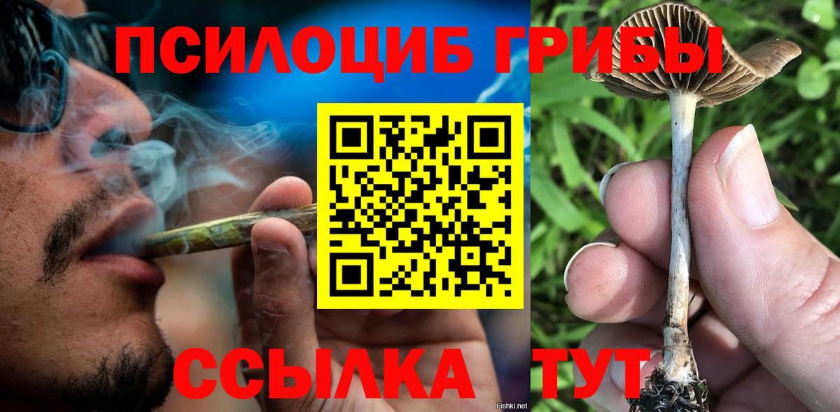Псилоцибиновые грибы GOLDEN TEACHER Малоярославец