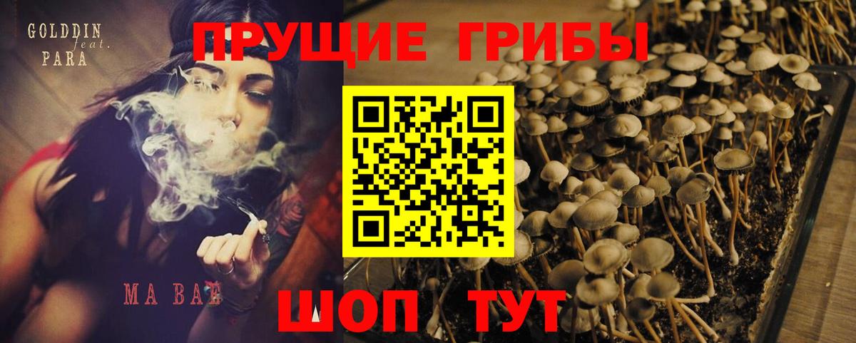 Галлюциногенные грибы Psilocybe  Вход с VPN  Малоярославец  Галлюциногенные грибы GOLDEN TEACHER 
